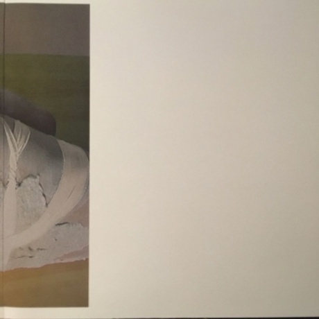 Bjork- Greatest Hits (5016958049812) виниловая пластинка - фото 3