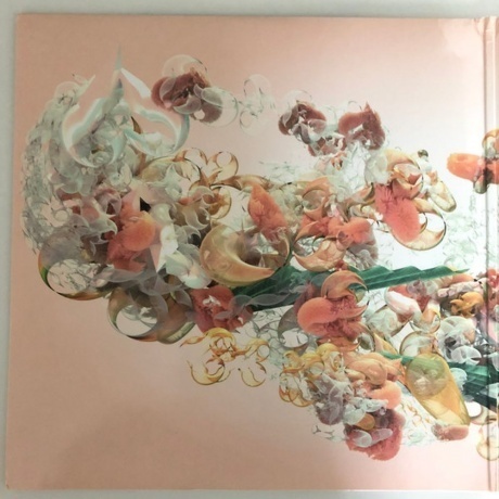 Bjork - Utopia (5016958087814) виниловая пластинка - фото 2