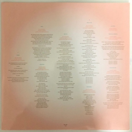 Bjork - Utopia (5016958087814) виниловая пластинка - фото 11