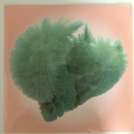 Bjork - Utopia (5016958087814) виниловая пластинка - фото 12