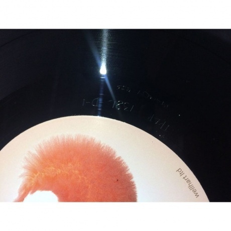 Bjork - Utopia (5016958087814) виниловая пластинка - фото 13