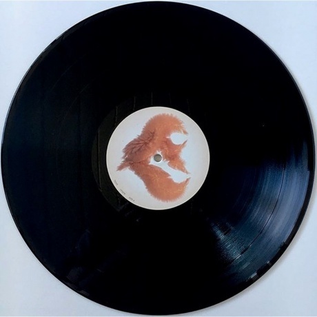 Bjork - Utopia (5016958087814) виниловая пластинка - фото 14