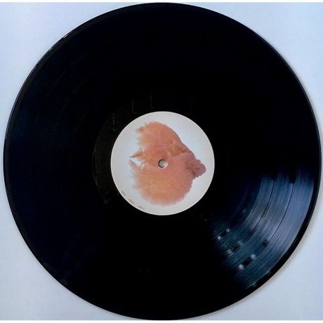 Bjork - Utopia (5016958087814) виниловая пластинка - фото 15