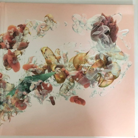 Bjork - Utopia (5016958087814) виниловая пластинка - фото 3