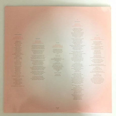 Bjork - Utopia (5016958087814) виниловая пластинка - фото 9