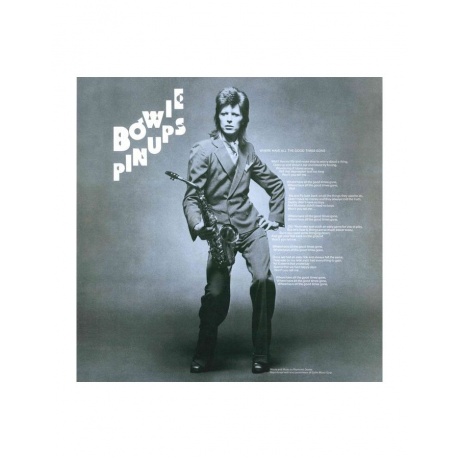 5054197409950, Виниловая пластинка Bowie, David, Pinups (Half Speed) - фото 6