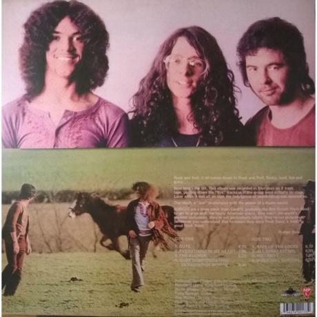 Budgie - Budgie (0534274001734) виниловая пластинка - фото 2