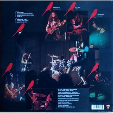 Budgie - In For The Kill (0534274001765) виниловая пластинка - фото 2