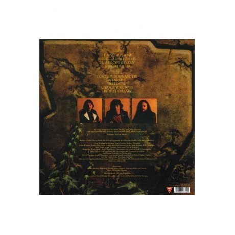 5015330977224, Budgie, Nightflight виниловая пластинка - фото 2