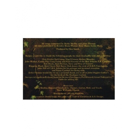 5015330977224, Budgie, Nightflight виниловая пластинка - фото 6