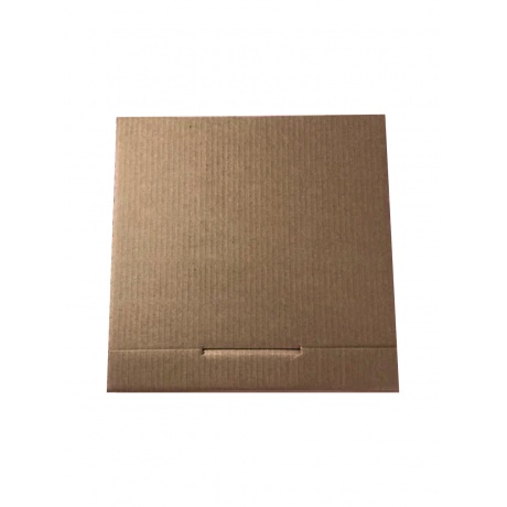 Упаковка для транспортировки пластинок 320x320x20 B 23-3399-D-01 (упаковка 10 шт) - фото 2