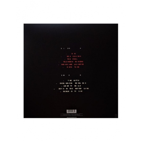 Виниловая пластинка Fontaines D.C., Dogrel (0720841216612) - фото 2