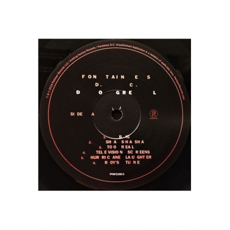 Виниловая пластинка Fontaines D.C., Dogrel (0720841216612) - фото 3