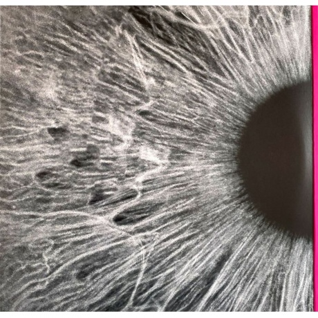 Peter Gabriel - I/O (Bright-Side Mixes) (0884108013595) виниловая пластинка - фото 3