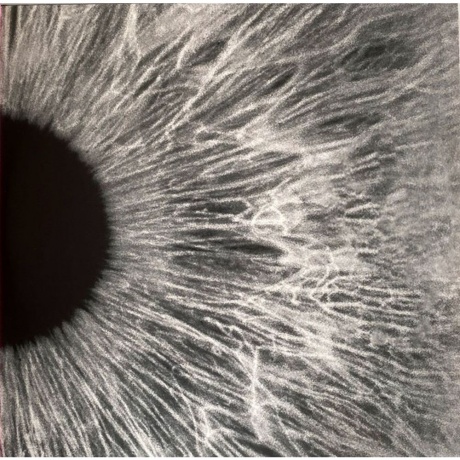 Peter Gabriel - I/O (Bright-Side Mixes) (0884108013595) виниловая пластинка - фото 4