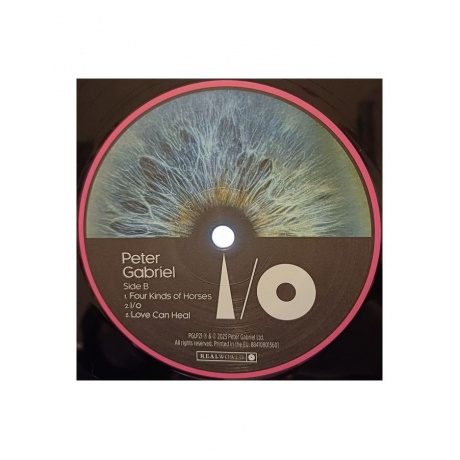 Виниловая пластинка Gabriel, Peter, I/O (Bright-Side Mixes) (0884108013595) - фото 5