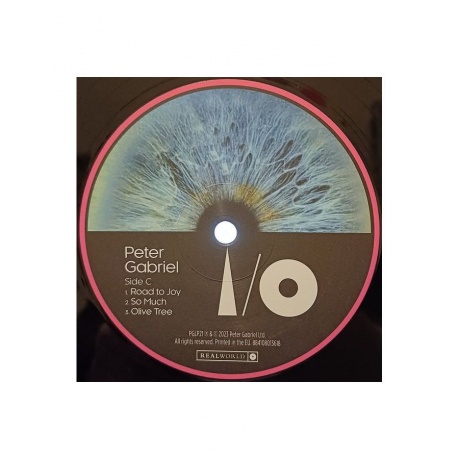 Виниловая пластинка Gabriel, Peter, I/O (Bright-Side Mixes) (0884108013595) - фото 6