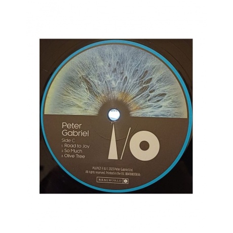 Виниловая пластинка Gabriel, Peter, I/O (Dark-Side Mixes) (0884108013632) - фото 6