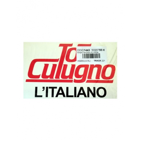 Виниловая пластинка Cutugno, Toto, L'Italiano (8034125846221) - фото 3