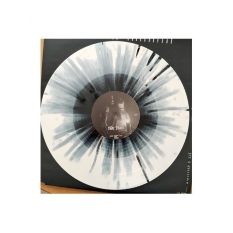 Dimmu Borgir - Inspirato Profanus (coloured) (4065629707910) виниловая пластинка - фото 6