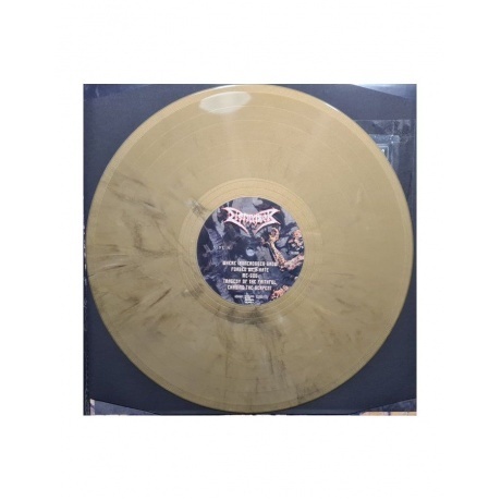 Dismember - Where Ironcrosses Grow (coloured) (4065629686116) виниловая пластинка - фото 3