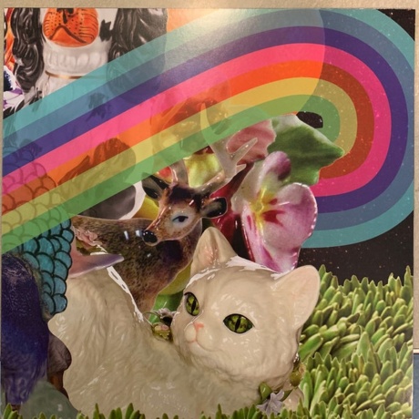 Modest Mouse - The Golden Casket (coloured) (0194398941318) виниловая пластинка - фото 14