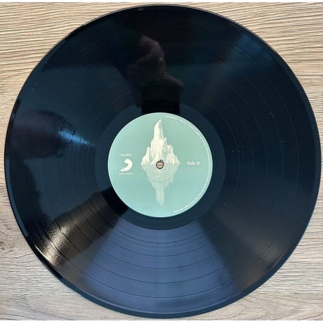 Christy Moore - Flying Into Mystery (0194398459813) виниловая пластинка - фото 5