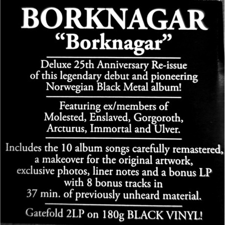 Borknagar - Borknagar (0194399135815) виниловая пластинка - фото 11