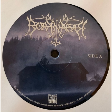 Borknagar - Borknagar (0194399135815) виниловая пластинка - фото 4