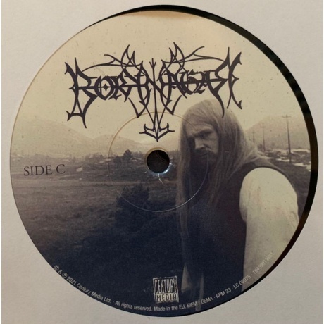 Borknagar - Borknagar (0194399135815) виниловая пластинка - фото 6