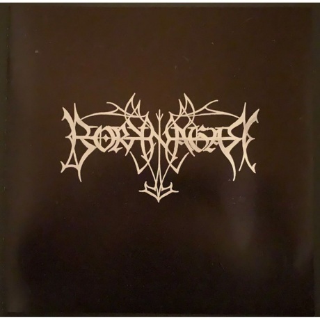 Borknagar - Borknagar (0194399135815) виниловая пластинка - фото 8
