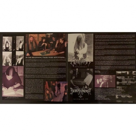 Borknagar - Borknagar (0194399135815) виниловая пластинка - фото 9