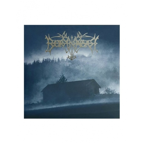 Виниловая пластинка Borknagar, Borknagar (0194399135815) - фото 1