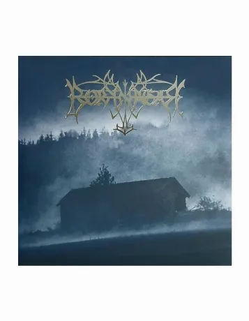 Виниловая пластинка Borknagar, Borknagar (0194399135815)