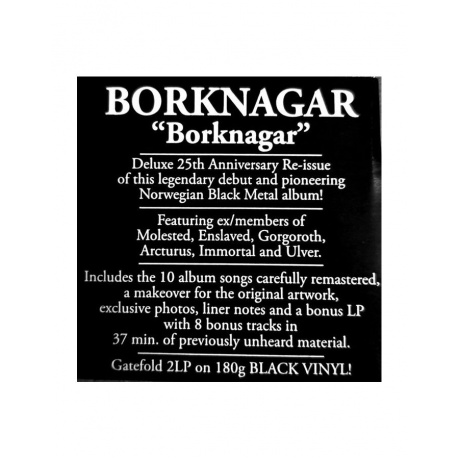 Виниловая пластинка Borknagar, Borknagar (0194399135815) - фото 11