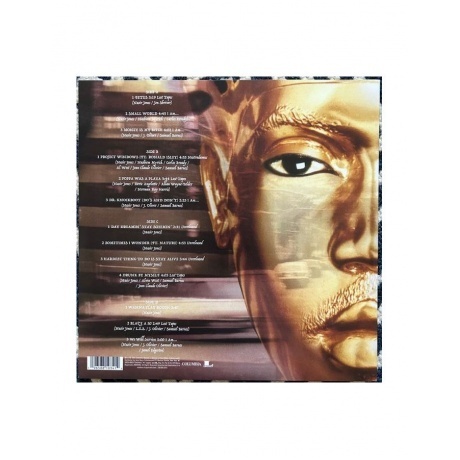 Nas - I Am... The Autobiography (0196588103414) виниловая пластинка - фото 2