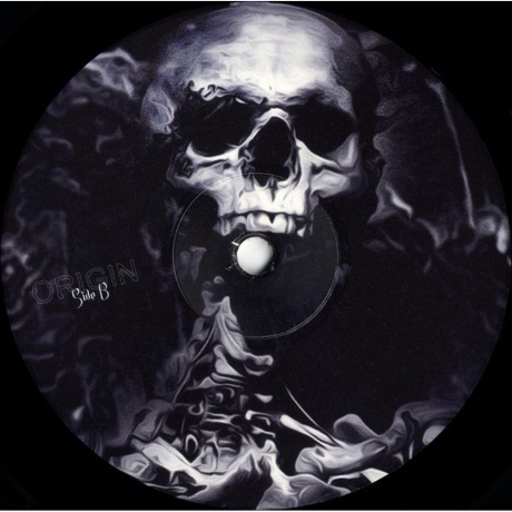 Omnium Gatherum - Origin (0194399304617) виниловая пластинка - фото 7