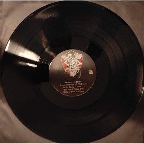 Unanimated - Victory In Blood (0194399373613) виниловая пластинка - фото 5