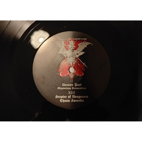 Unanimated - Victory In Blood (0194399373613) виниловая пластинка - фото 6