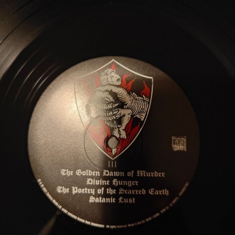 Unanimated - Victory In Blood (0194399373613) виниловая пластинка - фото 7