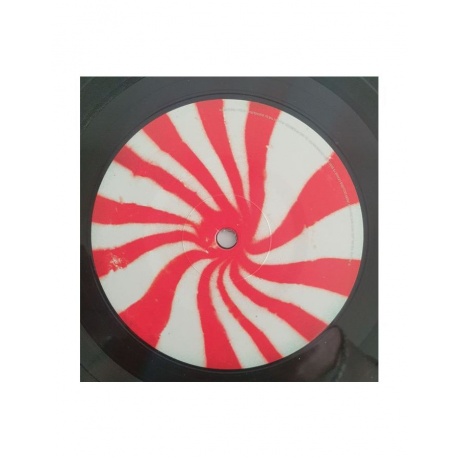 Виниловая пластинка White Stripes, The, The White Stripes (0194398423319) - фото 9