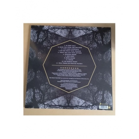 The Dead Weather - Horehound (0196588058110) виниловая пластинка - фото 3