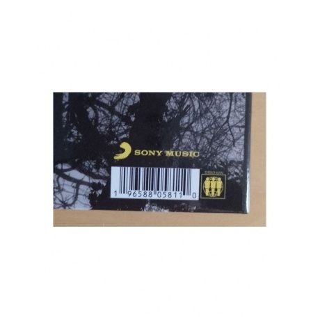 The Dead Weather - Horehound (0196588058110) виниловая пластинка - фото 4