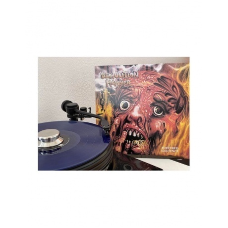 Demolition Hammer - Tortured Existence (coloured) (0196588090011) виниловая пластинка - фото 3