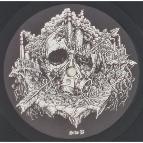 Deserted Fear - Doomsday (0194399679319) виниловая пластинка - фото 5