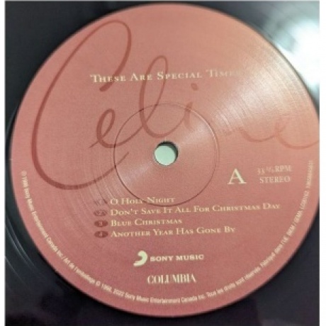 Dion, Celine, These Are Special Times (0196588456312) виниловая пластинка - фото 4