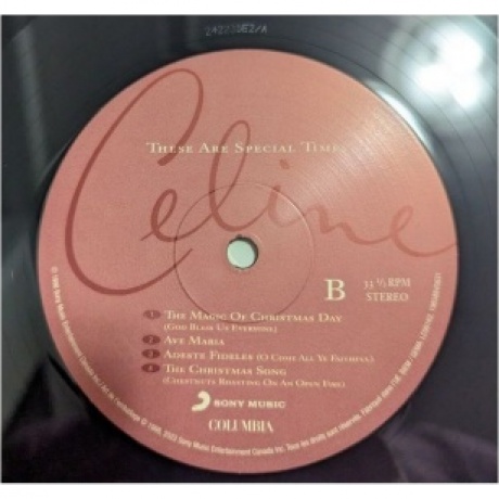 Dion, Celine, These Are Special Times (0196588456312) виниловая пластинка - фото 5