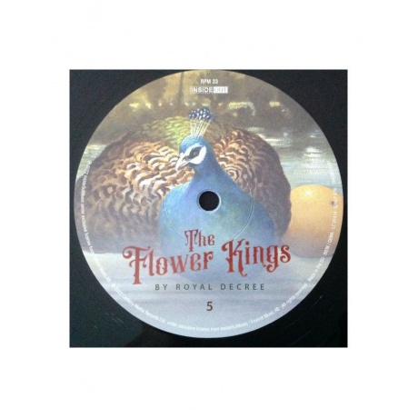 Виниловая пластинка Flower Kings, The, By Royal Decree (Box) (0194399532812) - фото 12