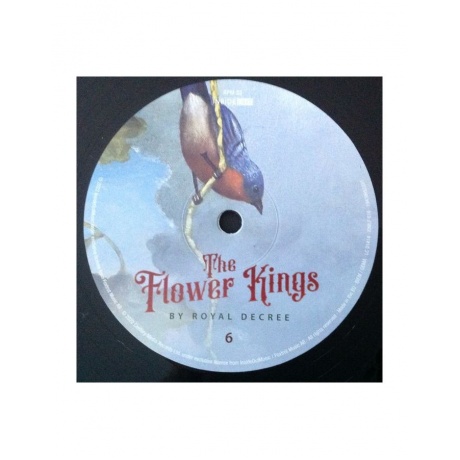 Виниловая пластинка Flower Kings, The, By Royal Decree (Box) (0194399532812) - фото 13