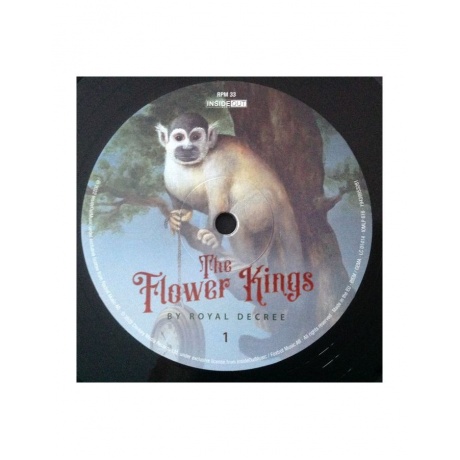 Виниловая пластинка Flower Kings, The, By Royal Decree (Box) (0194399532812) - фото 8